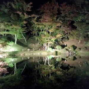 霞が城公園、るり池の夜景